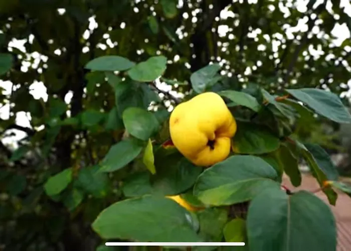 Blue Вилла Ovaakca